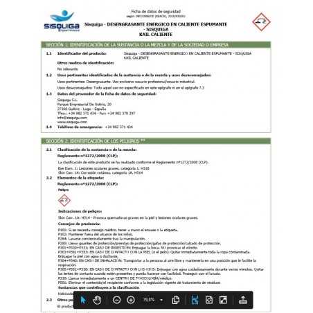 Kail Grill en espuma