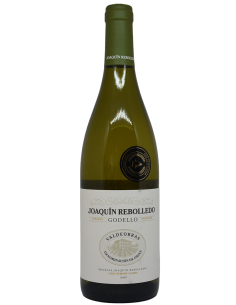 Joaquin Rebolledo Godello