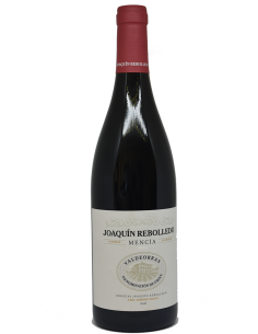 Joaquin Rebolledo Mencía